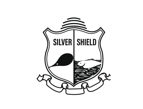 How Odoo ERP Helped Silvershield Marine Trading Optimize Business Processes